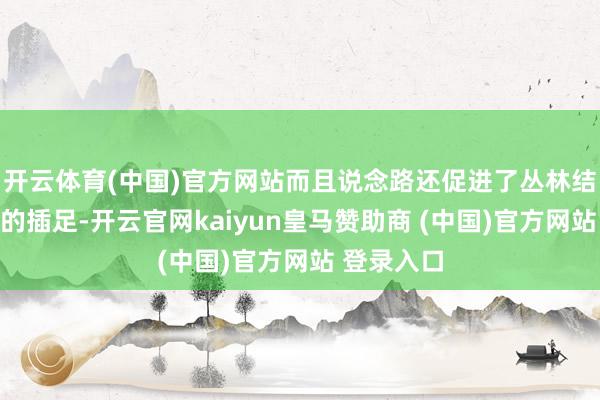 开云体育(中国)官方网站而且说念路还促进了丛林结巴和猎物的插足-开云官网kaiyun皇马赞助商 (中国)官方网站 登录入口